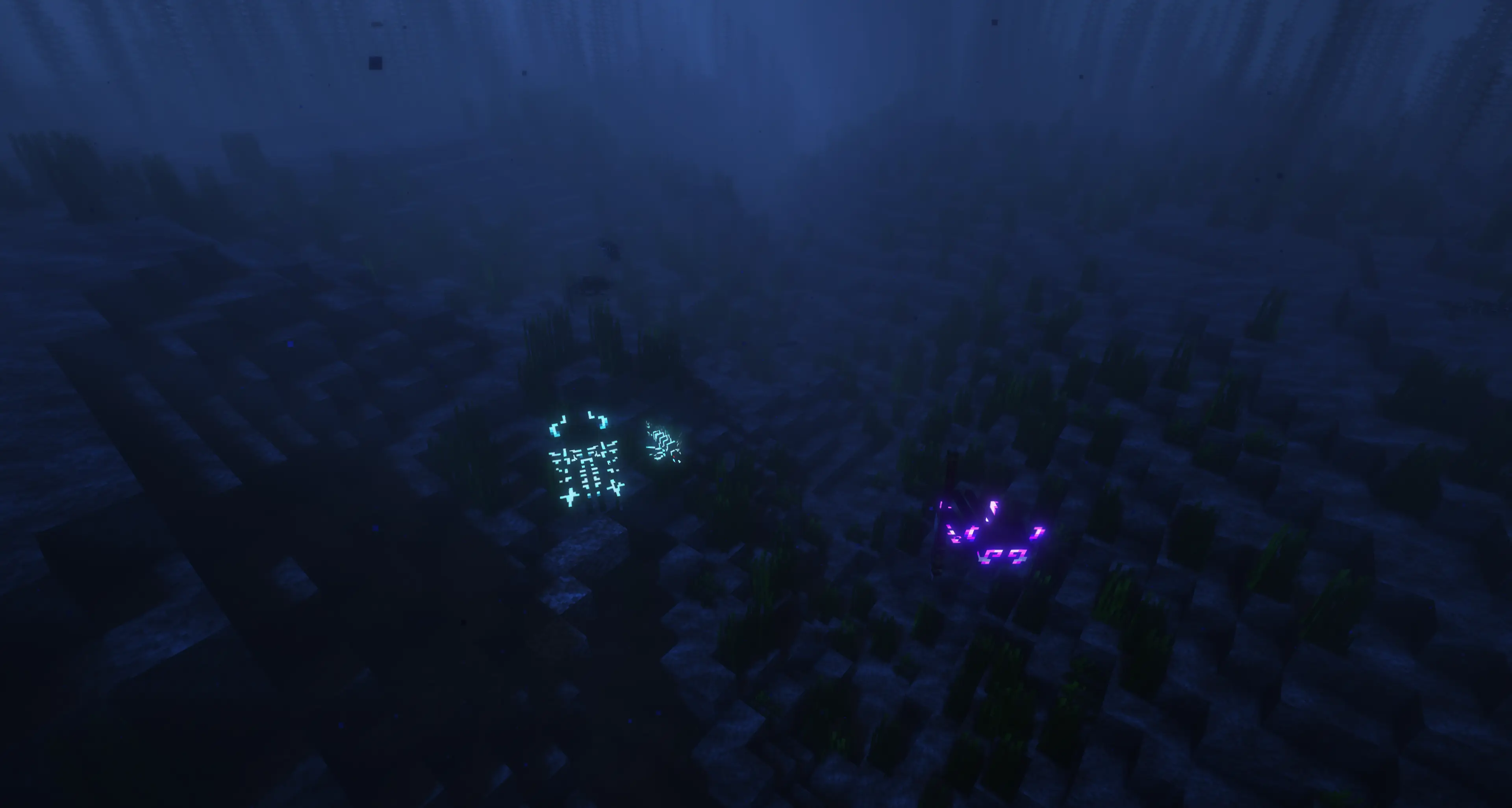 Underwater creatures